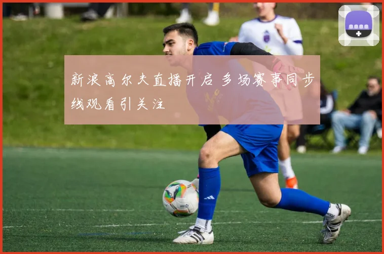 新浪高尔夫直播开启 多场赛事同步线观看引关注
