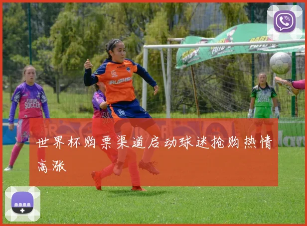 世界杯购票渠道启动球迷抢购热情高涨
